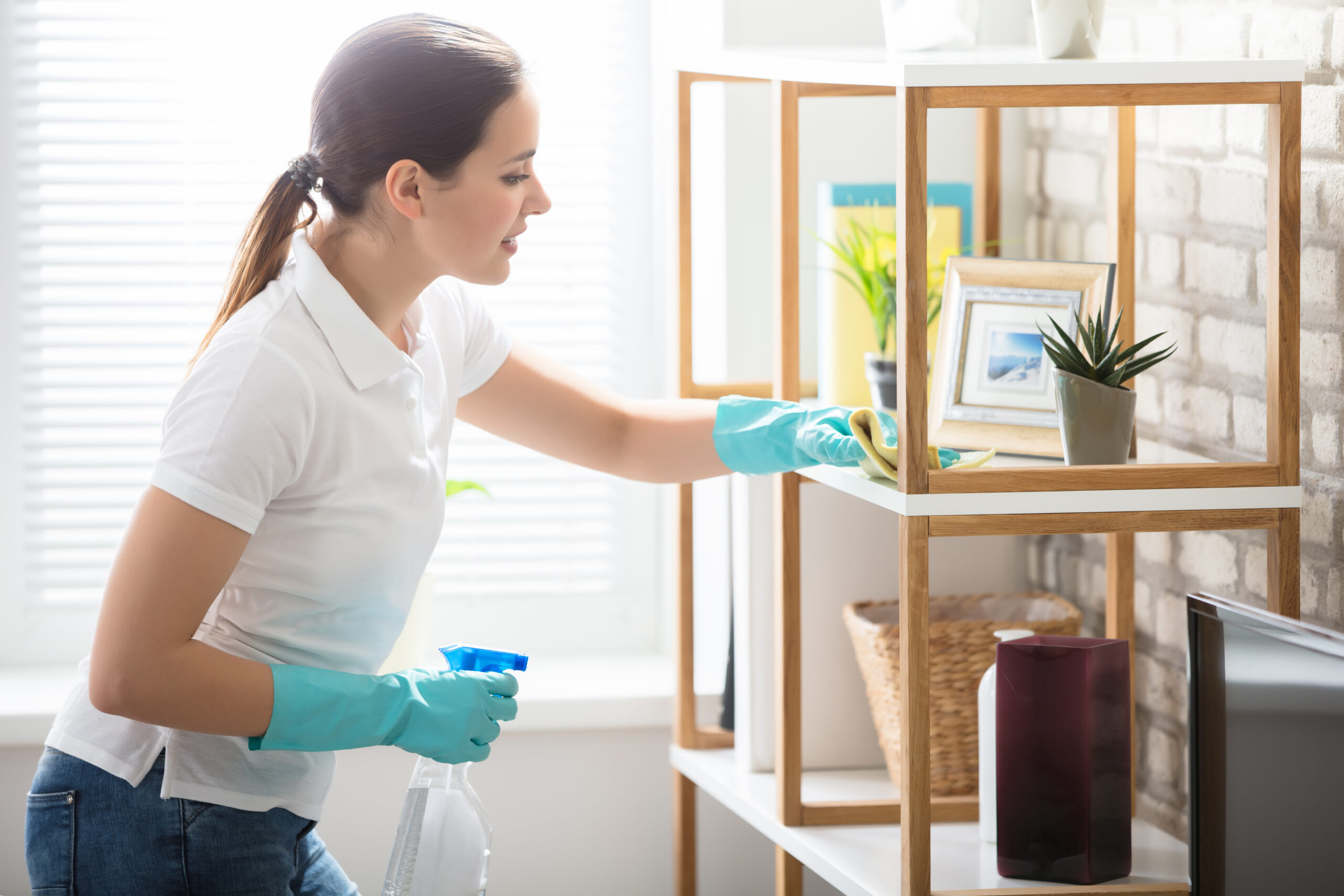 House Cleaning Services Palm Springs
